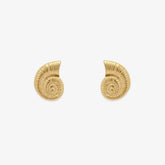 Seashell Stud Earrings